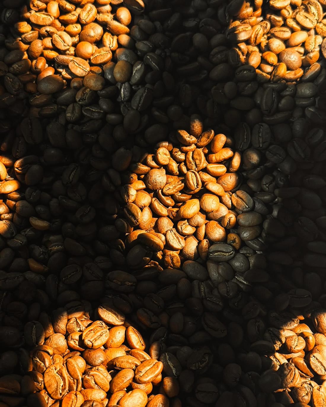 Grains de café de spécialité