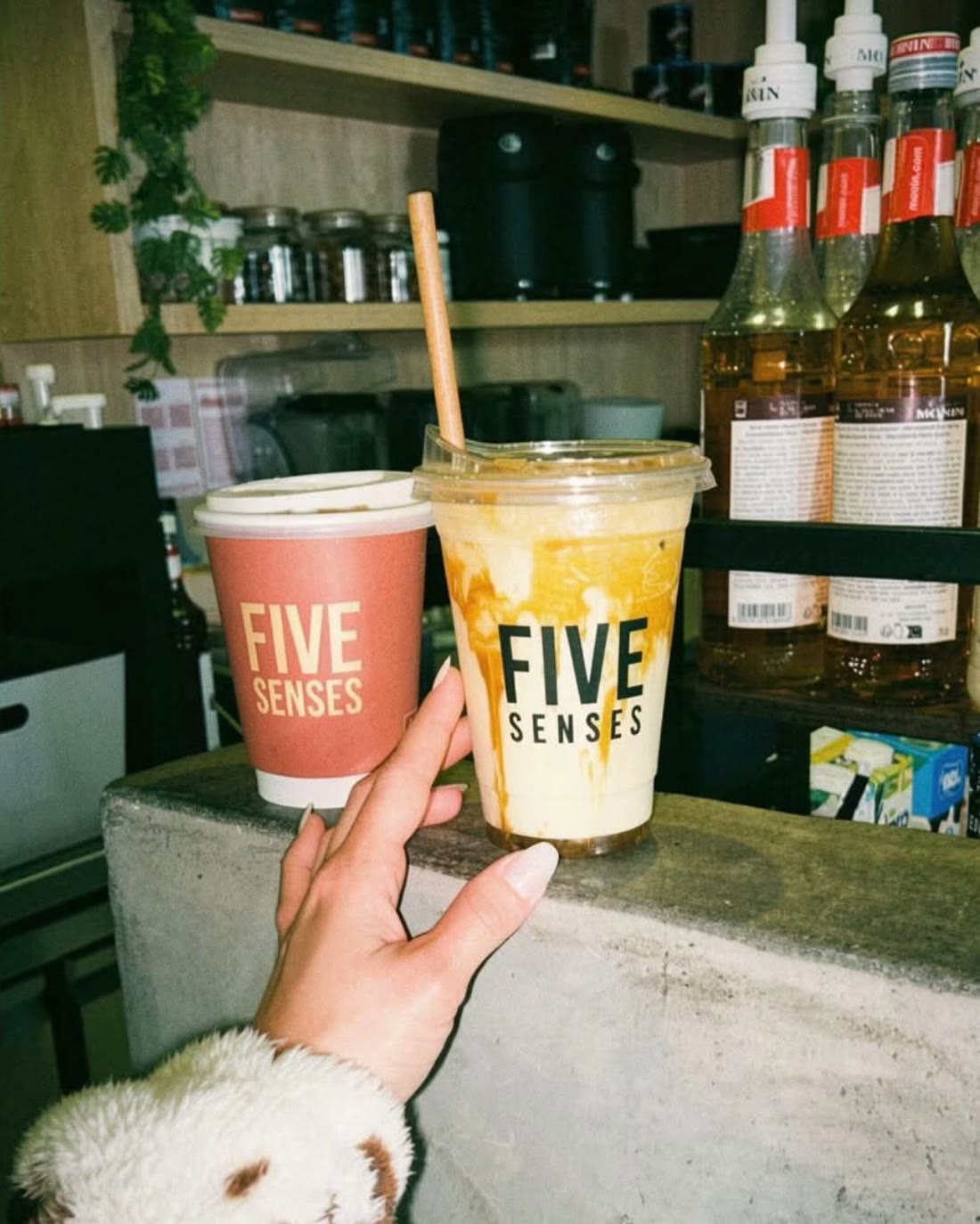 Limonades maison Five Senses